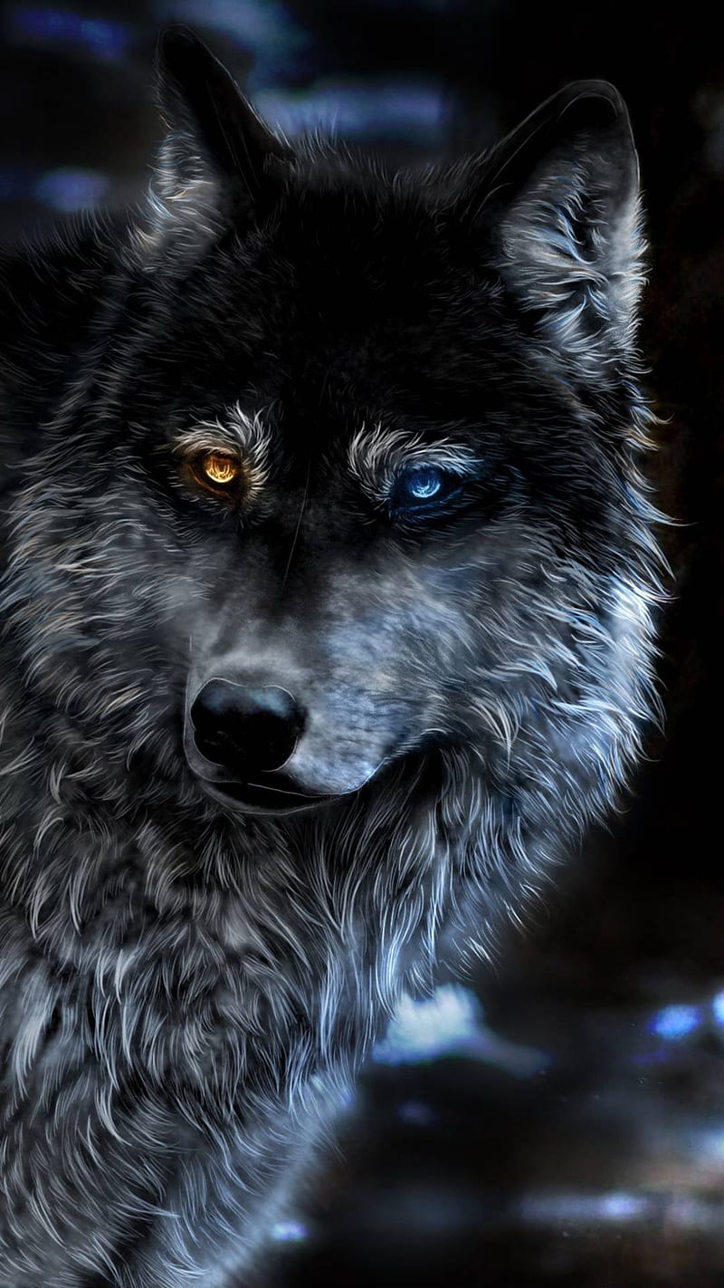 El bien contra el mal, lobo, negro, Fondo de pantalla de teléfono HD |  Peakpx
