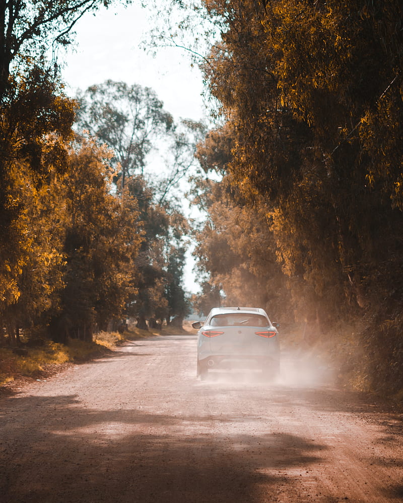 car, white, road, dust, HD phone wallpaper