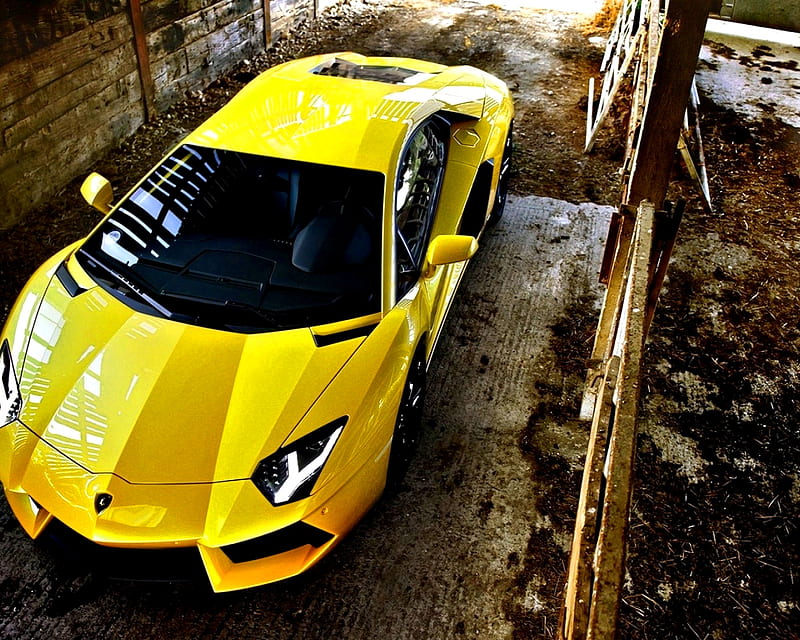 Lambo, car, italian, lamborghini, sports car, yellow, HD wallpaper | Peakpx