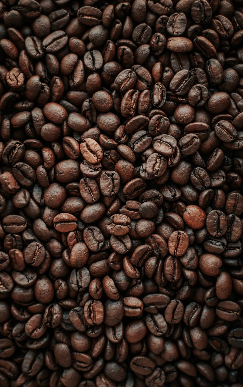 coffee beans, coffee, beans, roasting, macro, brown, HD phone wallpaper