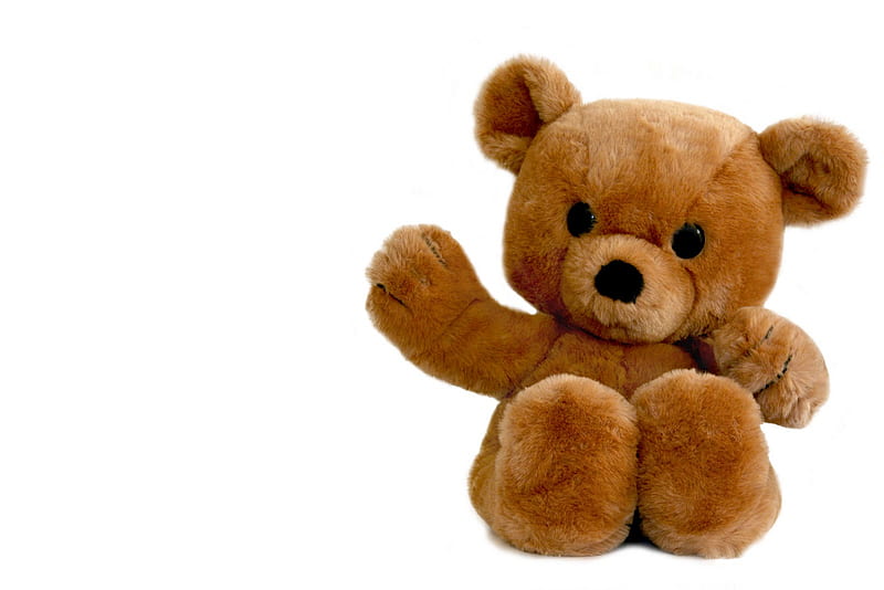 Hi Teddy Bear, brown, hi, toy, bear, cuddly, animal, greetings, stuffed, hello, HD wallpaper