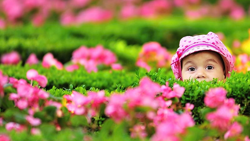 Little Boy Face Behind Green Leaves In Blur Background Cute, HD wallpaper |  Peakpx