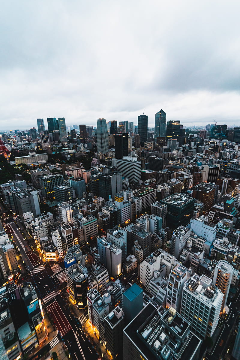 buildings, city, aerial view, architecture, metropolis, tokyo, japan, HD phone wallpaper