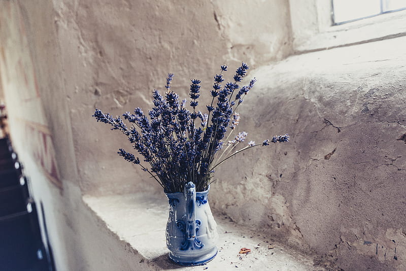 blue flowers in vase on window sill, HD wallpaper