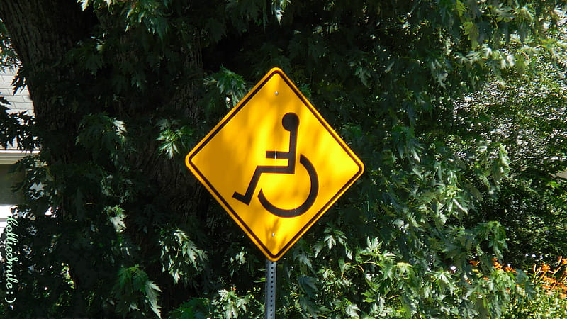 Handicapped Crossing: Handy for Everyone, green tree, handicapped, traffic, sign, golden yellow, Traffic Signals nSigns, HD wallpaper