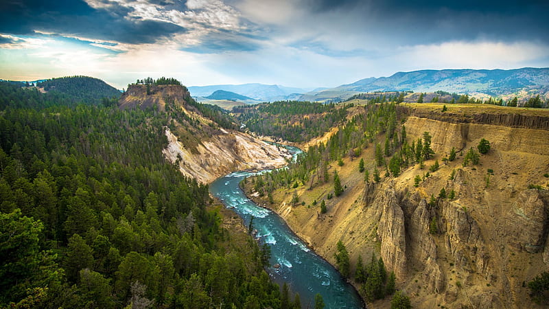 River at Yellowstone National Park, nature, trees, rivers, yellowstone, HD wallpaper