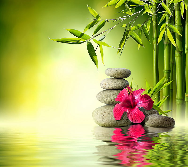 Relaxing Spa, bamboo, flower, reflection, relax, stones, water, zen, HD wallpaper
