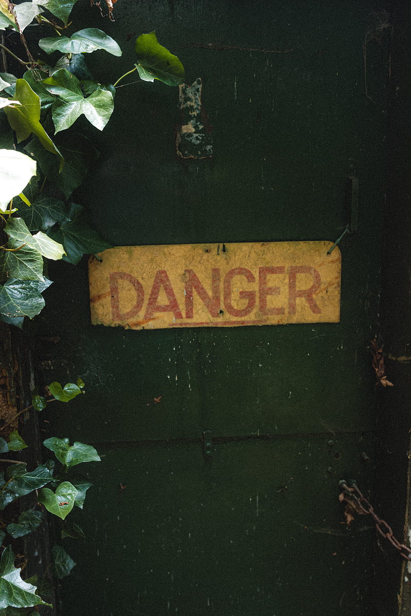 danger, words, inscription, plant, HD phone wallpaper