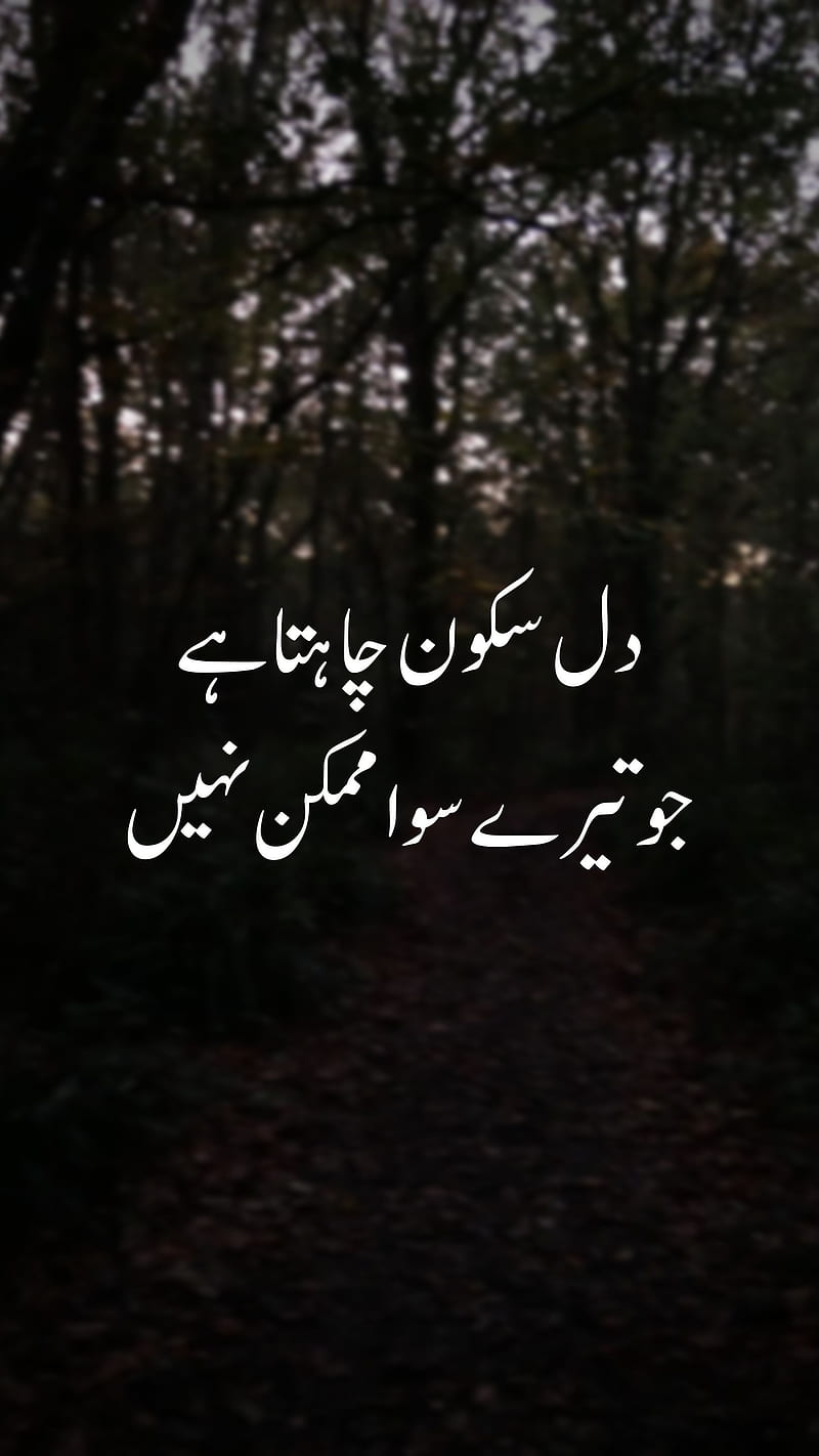 Urdu Deep Poetry, Ishq Muhabat, Pakistan Sayings, Pakistani Islamic quote,  Sad emotional line, HD phone wallpaper | Peakpx