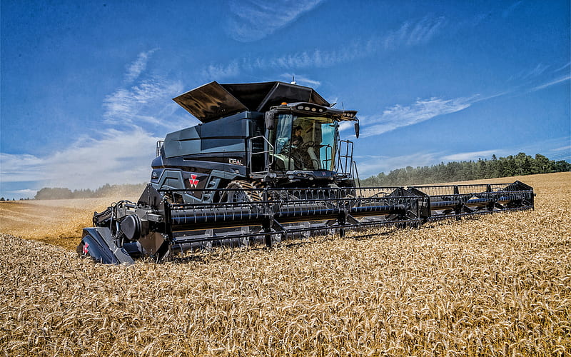 Massey Ferguson IDEAL 9, combine harvester, harvesting concepts, Harvesting Wheat, Massey Ferguson, HD wallpaper