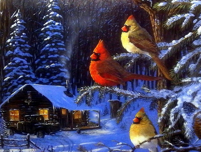 ★Cabin Fever★, pretty, Christmas, bonito, xmas and new year, cardinals, paintings, cabins, animals, lovely, three, colors, love four seasons, birds, creative pre-made, winter, snow, branches, HD wallpaper