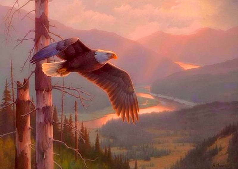 God Blessed America, draw and paint, eagle, love four seasons, attractions in dreams, sky, valley, paintings, bald eagle, mountains, flying, summer, nature, animals, HD wallpaper