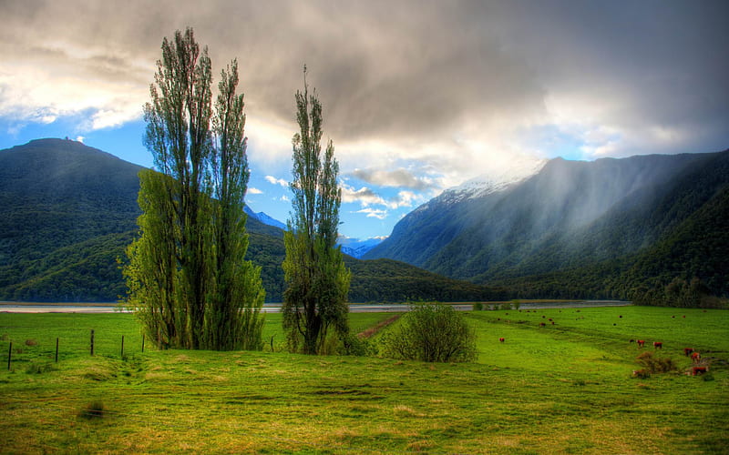 hills and mountain-New Zealand landscape, HD wallpaper