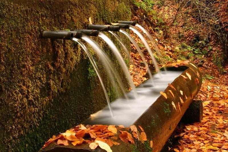 autumn spouts, autumn, tub, water, wall, HD wallpaper
