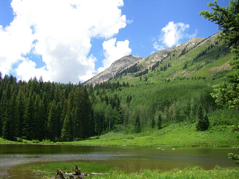 Colorado Rocky Mountains, mountain, forest, nature, lake, HD wallpaper
