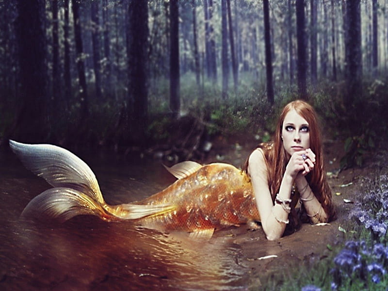 Dreaming Mermaid, mermaid, forest, water, dream, HD wallpaper
