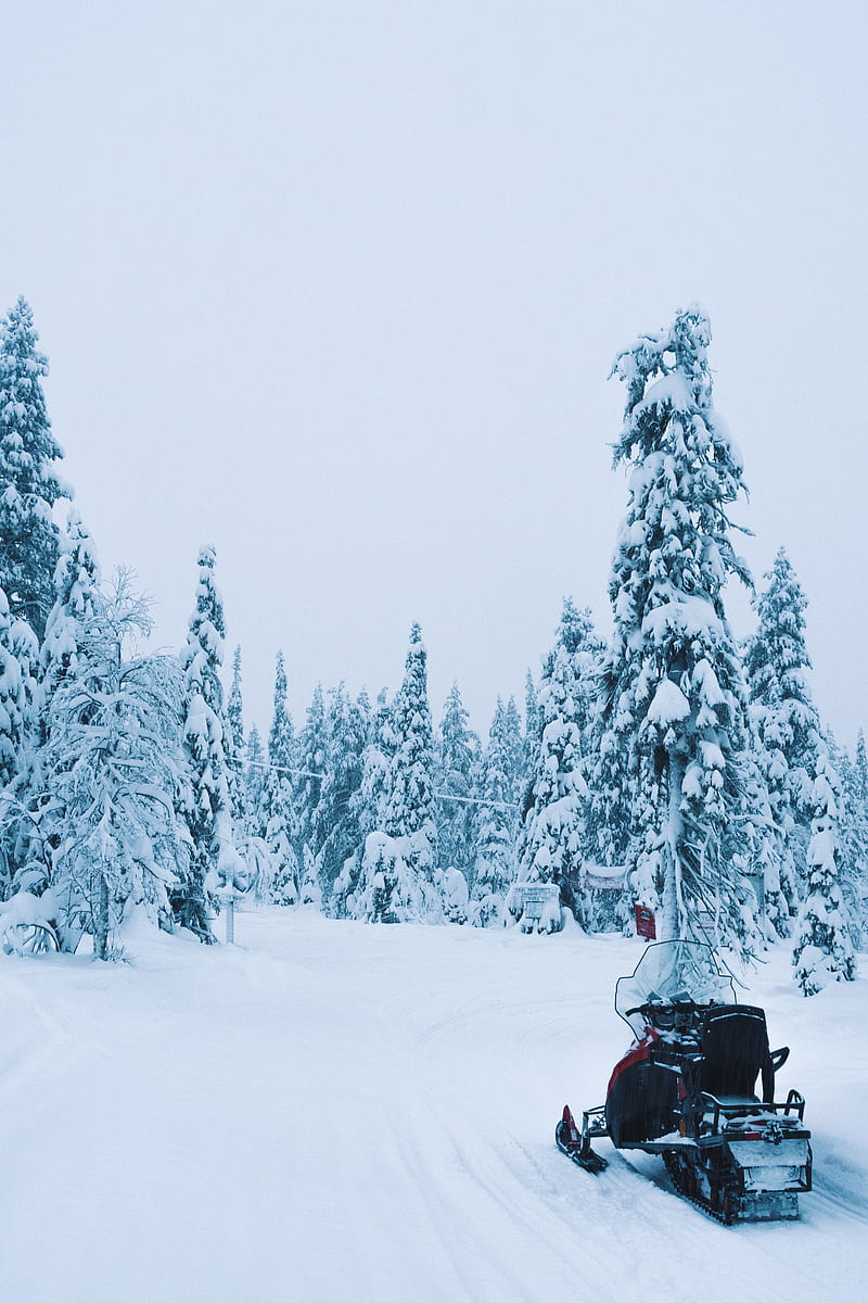 snowmobile, snow, trees, winter, nature, HD phone wallpaper