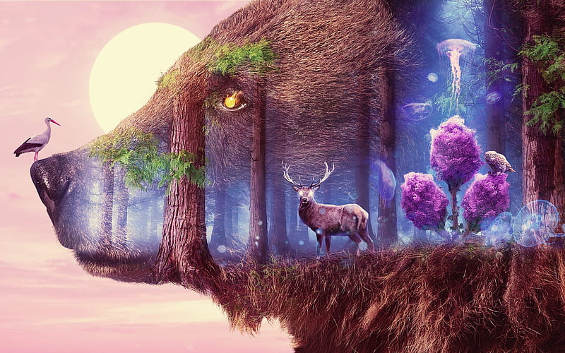 fairy forest, bear, deer, pink tree, owl, fantastic forest, wildlife, HD wallpaper