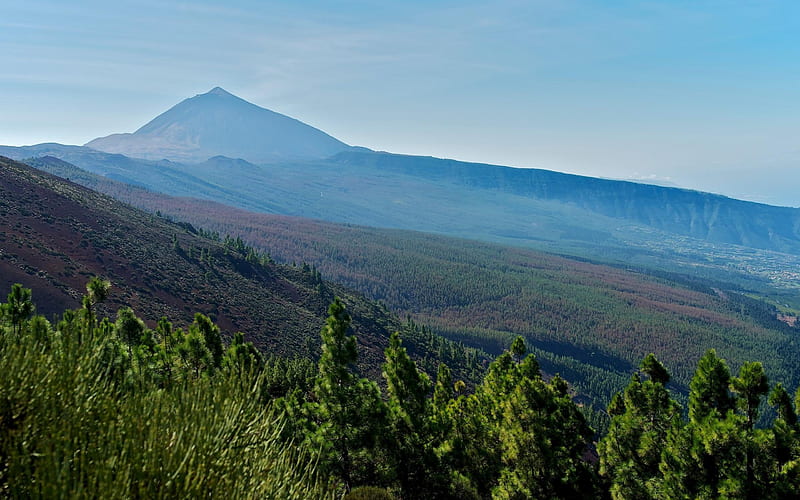 Tenerife Canary Islands Spain-Nature Landscape, HD wallpaper