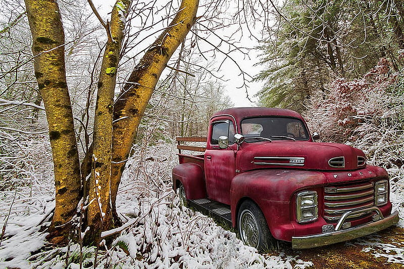 Red truck in snow, forest, trees, winter, car, vintage, HD wallpaper