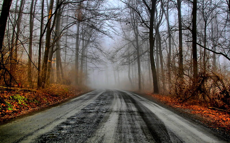 WINTER ROAD, autumn, r, road, fog, winter, landscape, HD wallpaper