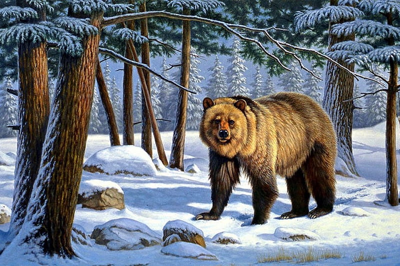 Grizzly in Snow, forest, predator, painting, bear, artwork, winter, HD wallpaper