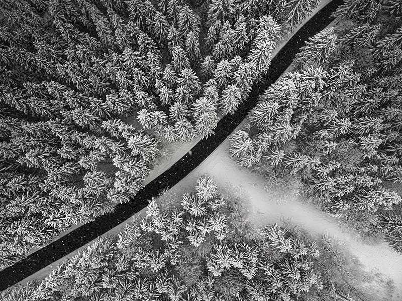 winter, trees, aerial view, snow, road, forest, HD wallpaper