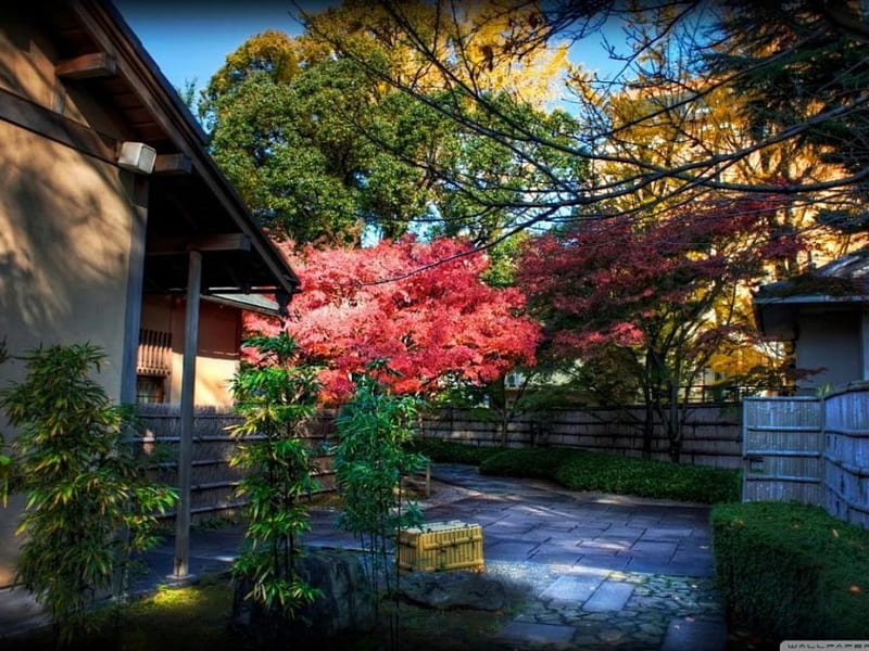 Japanese Garden and Tea House, house, Japanese garden, tea house, flowers, garden, trees, HD wallpaper