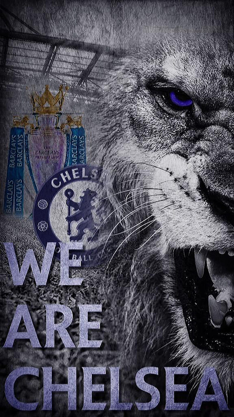 We are chelsea, club, fc, football, lion, logo, soccer, words, HD phone wallpaper