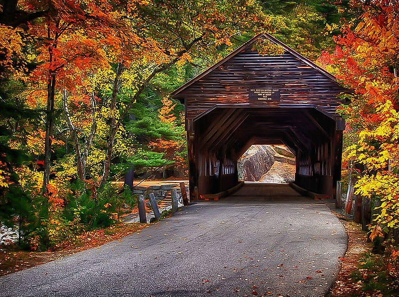 Indiana Autumn, leaves, bridge, covered, colors, trees, street, HD ...