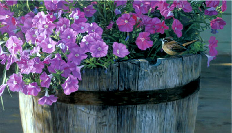 Wren Haven, wren, bird, wooden barrel, flowers, purple flowers, barrel, petunias, HD wallpaper