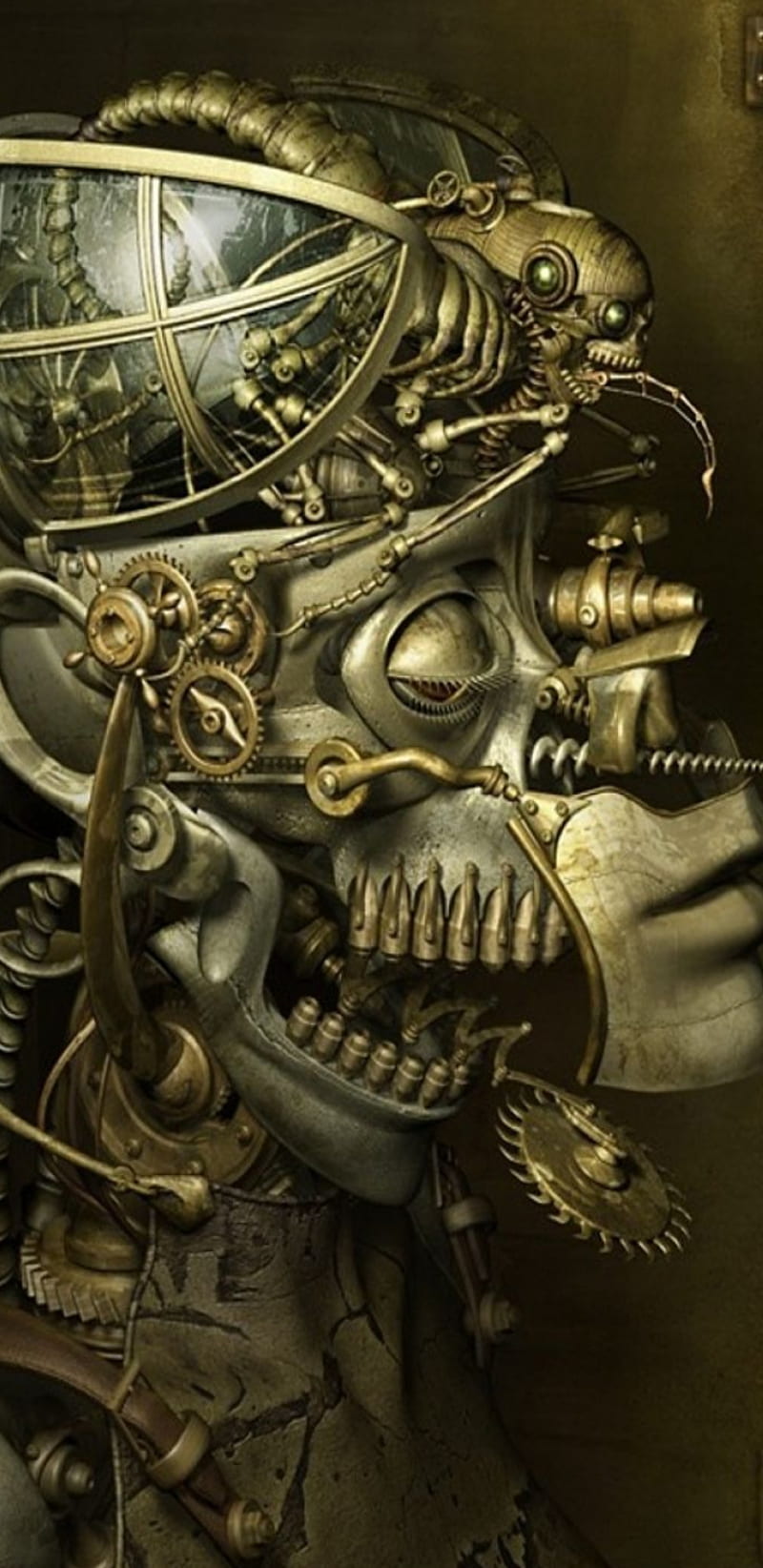 Steampunkskull, bronze, copper, dome, glass, metal, mind, skeleton, skull, solid, steampunk, HD phone wallpaper