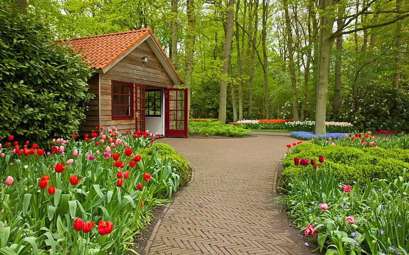 Beautiful Garden And House, Trees, Garden, Red, Flowers, House, HD wallpaper