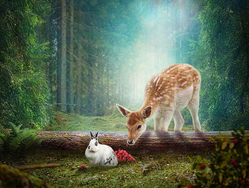 Find a Friend, forest, rabbit, deer, animals, tree, HD wallpaper