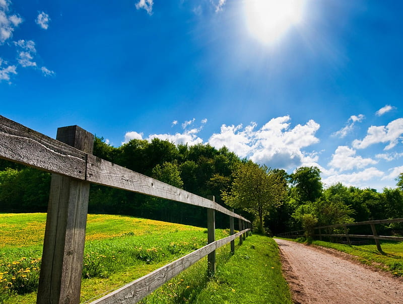 Sunny Summer Day, fence, forest, sun, grass, country, trees, sky, clouds, green, nature, road, field, wood, blue, HD wallpaper