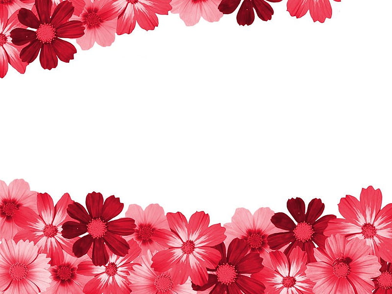 Red flower border, flower, border, red, love, HD wallpaper