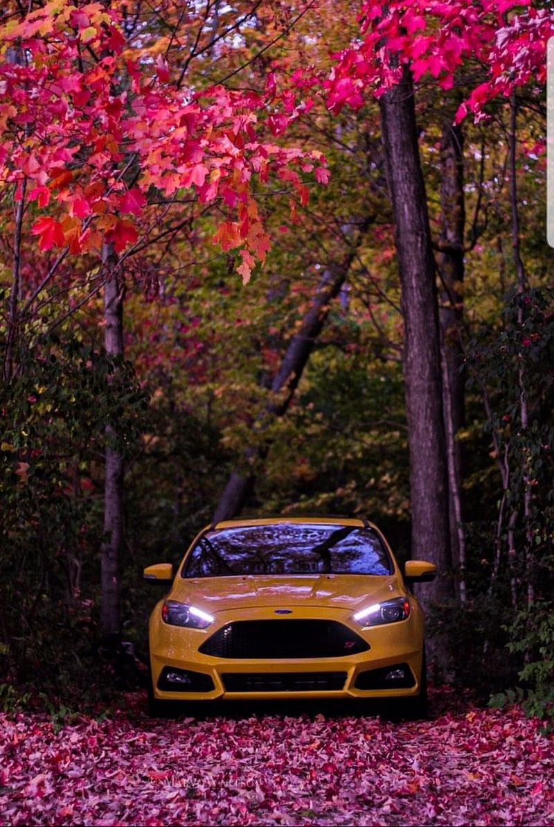 Ford Focus Rs Autumn Carros Driving Fall Focus Ford Rs Super Hd Mobile Wallpaper Peakpx