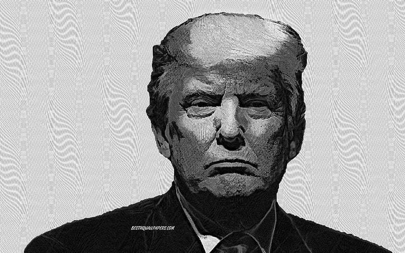 Donald Trump, Portrait, 45th US President, Art, American President, USA, HD wallpaper