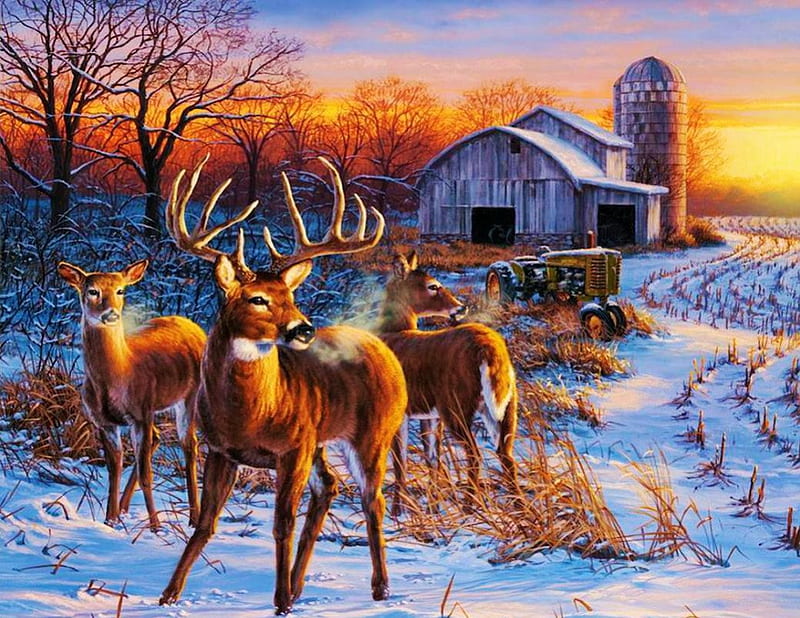 Deer on Snowfield, snow, colors, sunset, trees, sky, artwork, barn, HD wallpaper