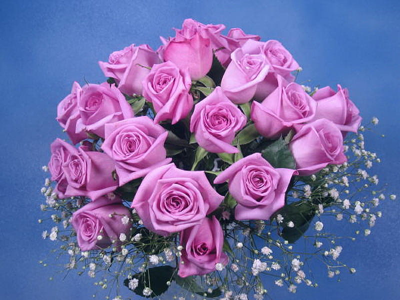 Feel well soon Mrs. G , baby breath, dedication, bouquet, roses, pink, blue, HD wallpaper