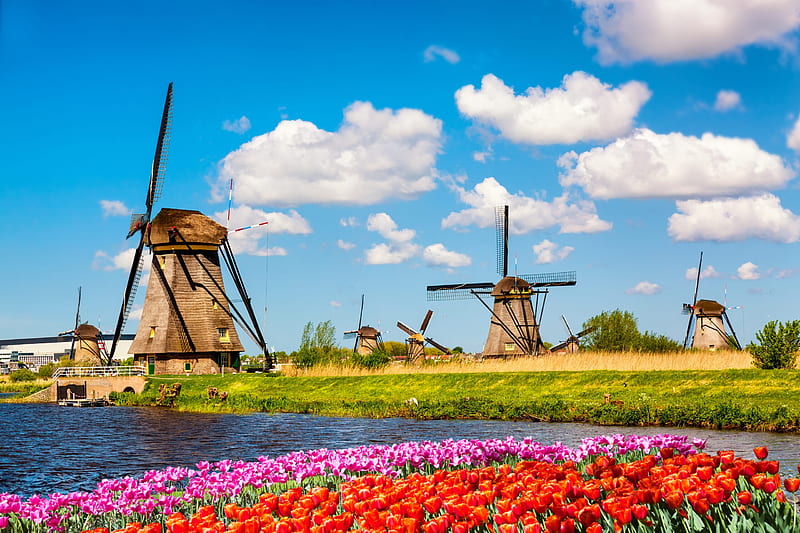 Windmills at Kinderdijk, windmill, Holland, flowers, tulips, spring, sky, Netherland, colorful, bonito, clouds, HD wallpaper