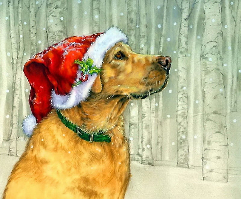 Christmas dog, forest, art, lovely, christmas, bonito, winter, sweet