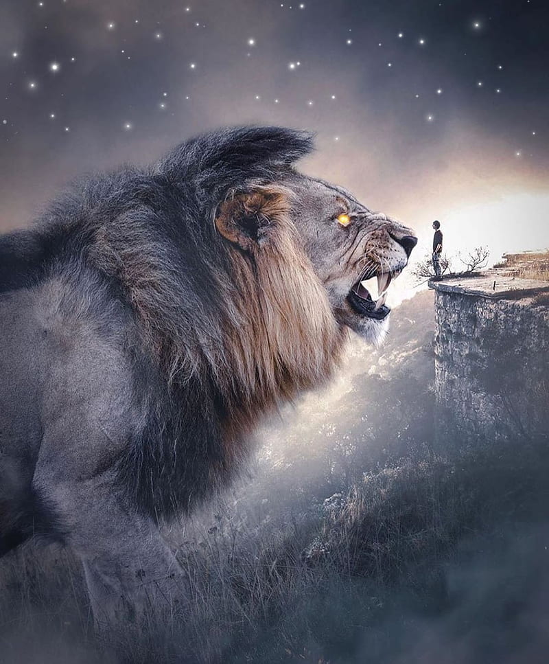 Angry lion art king land lions HD phone wallpaper  Peakpx