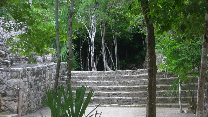 Mayan Ruins @ Coba, cancun, mexico, mayan, ruins, coba, ball court, HD wallpaper
