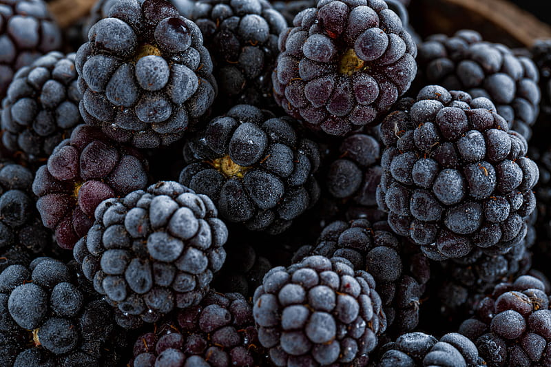 blackberry, berry, fruit, macro, HD wallpaper