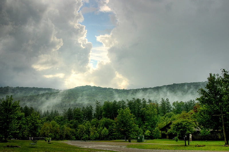 Mt. Tuscarora, Allegany State Park, New York, forest, grass, newyork, park, state, trees, sky, clouds, fog, mountain, green, tuscarora, allegany, nature, HD wallpaper