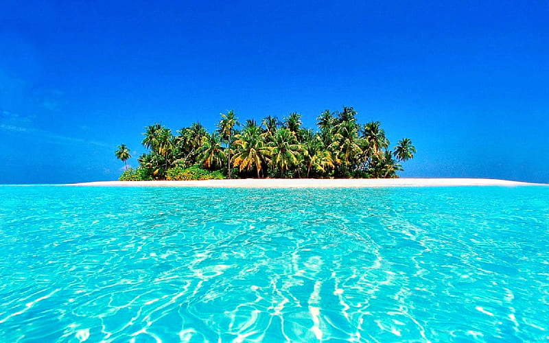 Beach, Summer, Horizon, Earth, Island, Tropical, Sunny, Maldives, Azure, Palm Tree, HD wallpaper