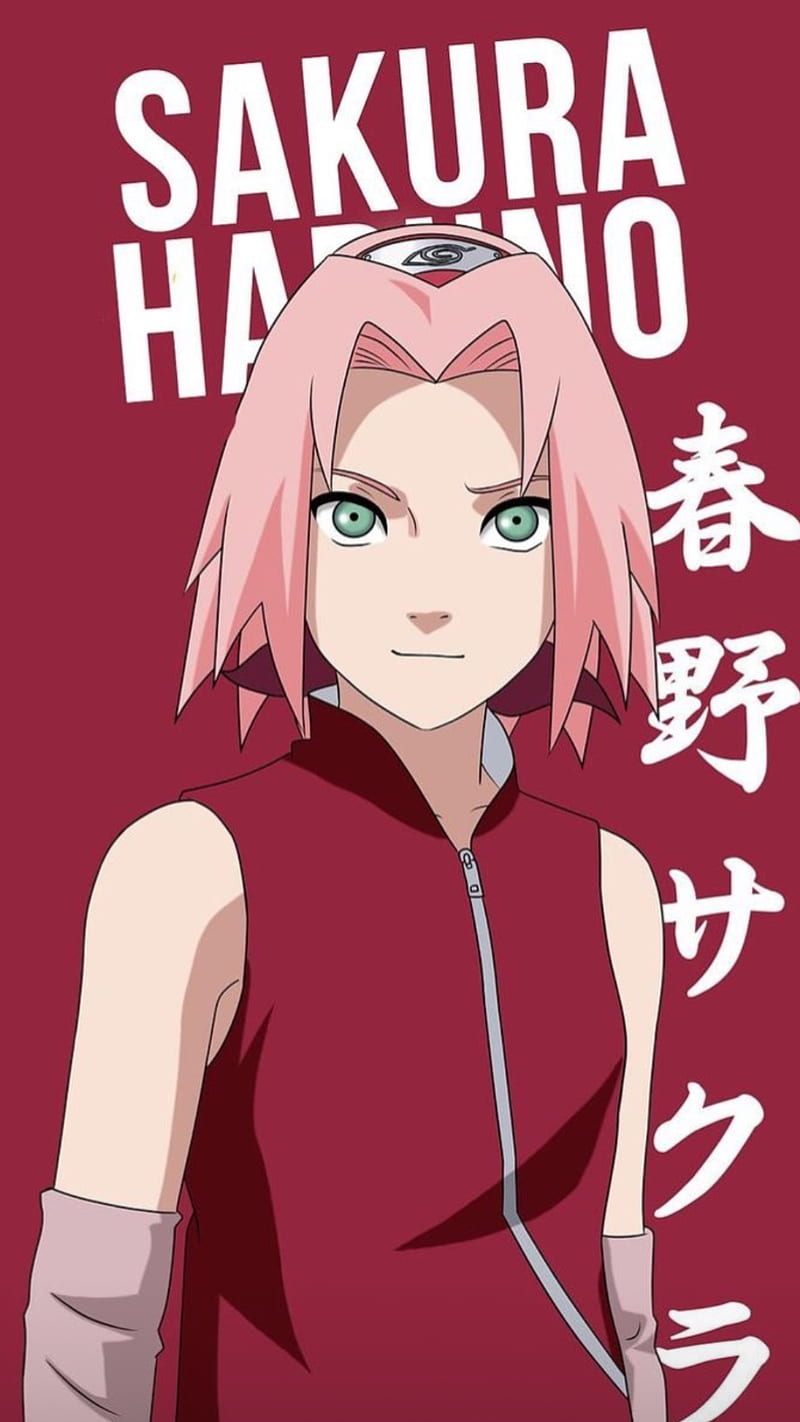 HD wallpaper: girl, smile, Naruto, cherry blossom, Haruno Sakura, by  translucent body | Wallpaper Flare