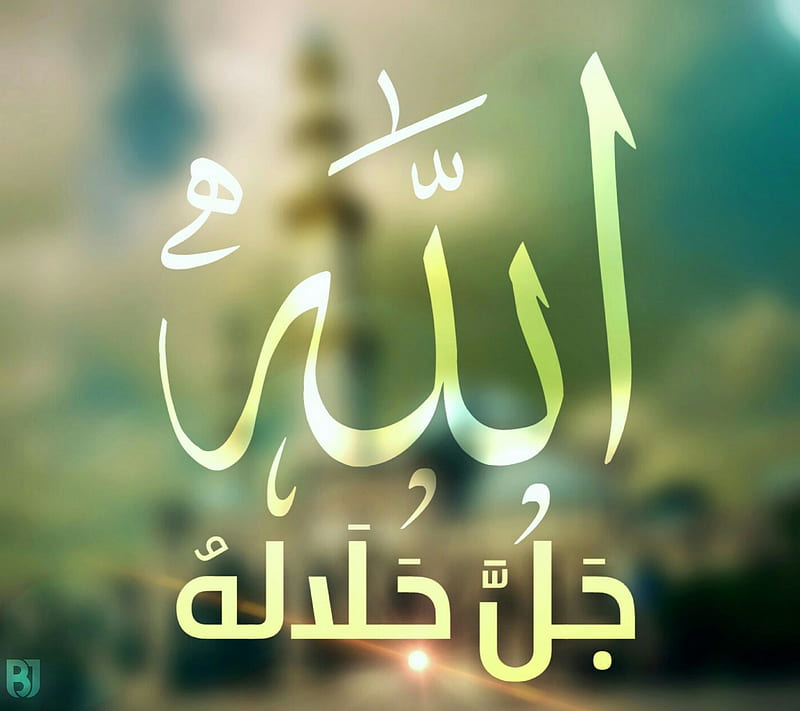 ALLAH EK HAI 🕋❤️ (@fiddahussain786) | TikTok