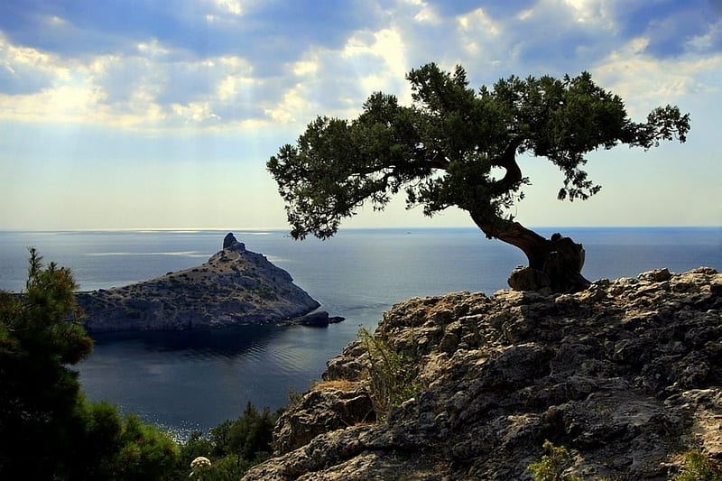 Solitary, rocks, tree, water, mountains, ocean, clouds, sea, HD wallpaper